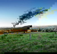 Ravensbourne National Park - Great Ocean Road Tourism
