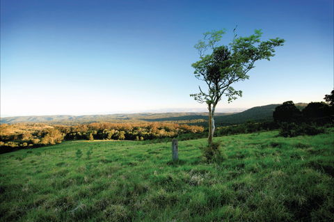 Ravensbourne National Park - Great Ocean Road Tourism 0