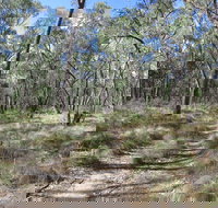 Reef Hills State Park - Great Ocean Road Tourism