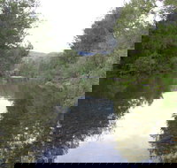 Riverside Campground and Picnic Area - Great Ocean Road Tourism