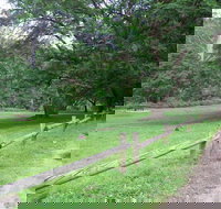 St Albans Reserve - Great Ocean Road Tourism