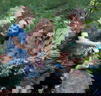 Tamworth Marsupial Park and Adventure Playground - Great Ocean Road Tourism