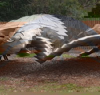 Underwater Marine Sculptures - Great Ocean Road Tourism