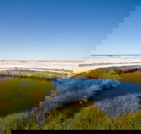 Wabma Kadarbu Mound Springs Conservation Park - Great Ocean Road Tourism