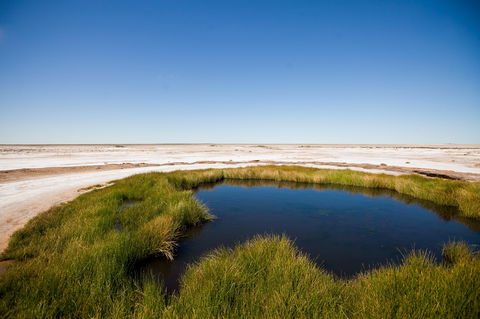 Wabma Kadarbu Mound Springs Conservation Park - Great Ocean Road Tourism 0