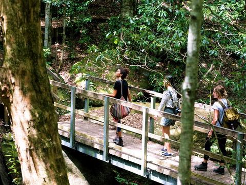 Watagans National Park - Great Ocean Road Tourism 0