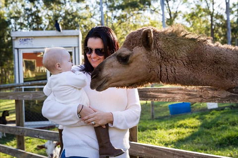 White Ridge Farm - Great Ocean Road Tourism 0