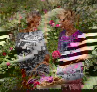 White Cottage - Great Ocean Road Tourism