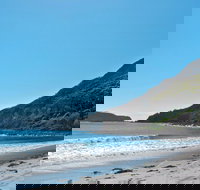 Yacaaba Headland Walking Track - Great Ocean Road Tourism