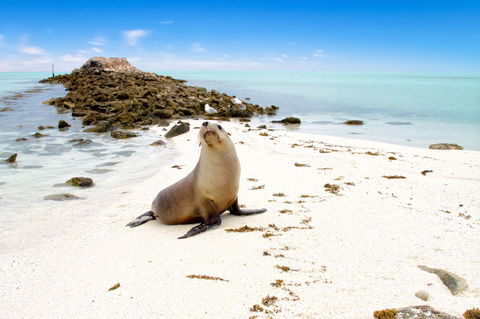 Abrolhos Islands - Great Ocean Road Tourism 0