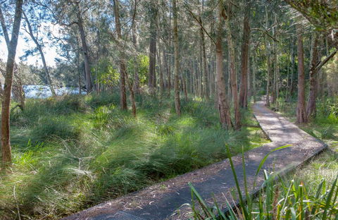 Anabranch Loop Track - Great Ocean Road Tourism 0