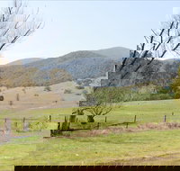 Banimboola Creek Rest Area - Great Ocean Road Tourism