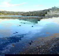 Berrara Creek - Great Ocean Road Tourism