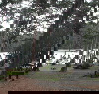 Big Brook Arboretum - Great Ocean Road Tourism