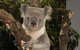 Birdland Animal Park - thumb 0