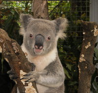 Birdland Animal Park - Great Ocean Road Tourism