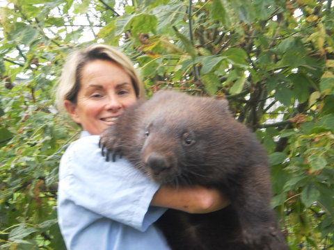 Birdland Animal Park - Great Ocean Road Tourism 2