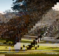 Blayney Golf Club - Great Ocean Road Tourism