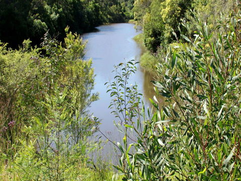 Blue Gum Hills Regional Park - Great Ocean Road Tourism 1