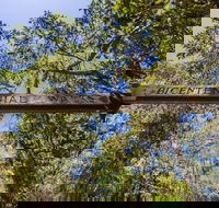 Bribie Island Bicentennial Trails - Great Ocean Road Tourism