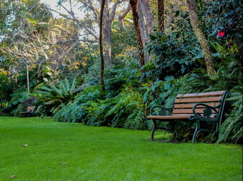 EG Waterhouse National Camellia Gardens - Great Ocean Road Tourism 0