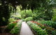 EG Waterhouse National Camellia Gardens - thumb 1