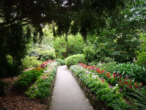 EG Waterhouse National Camellia Gardens - Great Ocean Road Tourism 1