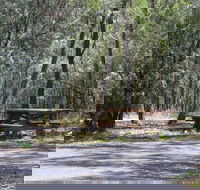 Goonoowigall State Conservation Area - Great Ocean Road Tourism