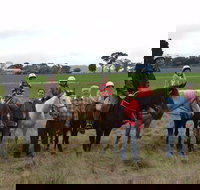 High Country Trail Rides - Great Ocean Road Tourism