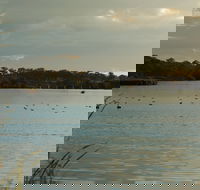 Lake Inverell Reserve - Great Ocean Road Tourism