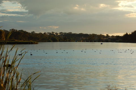 Lake Inverell Reserve - Great Ocean Road Tourism 0