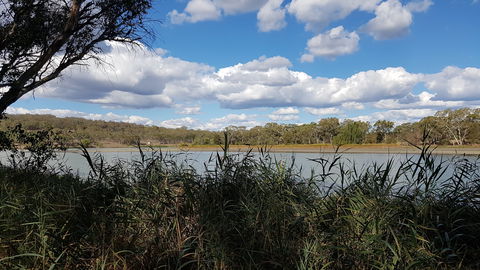 Lake Inverell Reserve - Great Ocean Road Tourism 1
