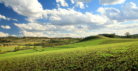 Lions Park, Hodgson Vale - Great Ocean Road Tourism 0