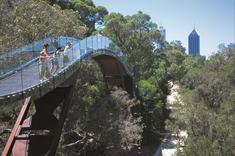Lotterywest Federation Walkway - Kings Park - Great Ocean Road Tourism 1