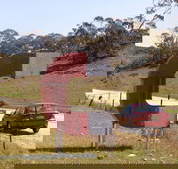 Magnetic Hill - Great Ocean Road Tourism