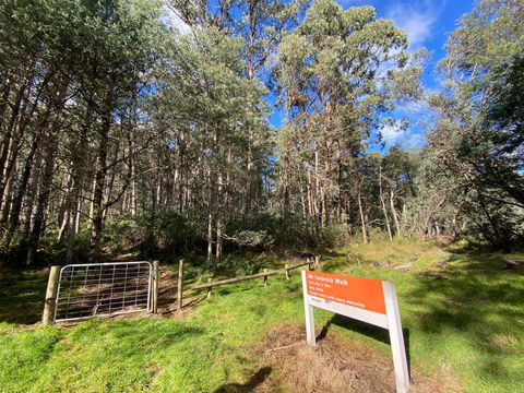 Mount Torbreck Summit Walk - Great Ocean Road Tourism 1