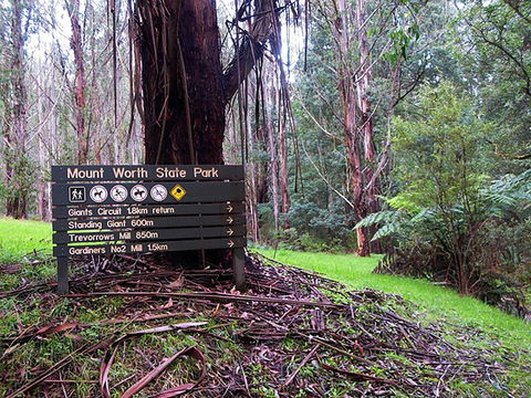 Mount Worth State Park - Great Ocean Road Tourism 0