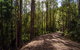 Myrtle Scrub Scenic Drive - thumb 0