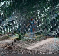 Nerang Mountain Bike Trails - Great Ocean Road Tourism