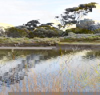 Onkaparinga River Recreation Park - Great Ocean Road Tourism