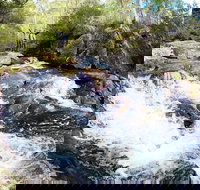 Polblue Falls - Great Ocean Road Tourism