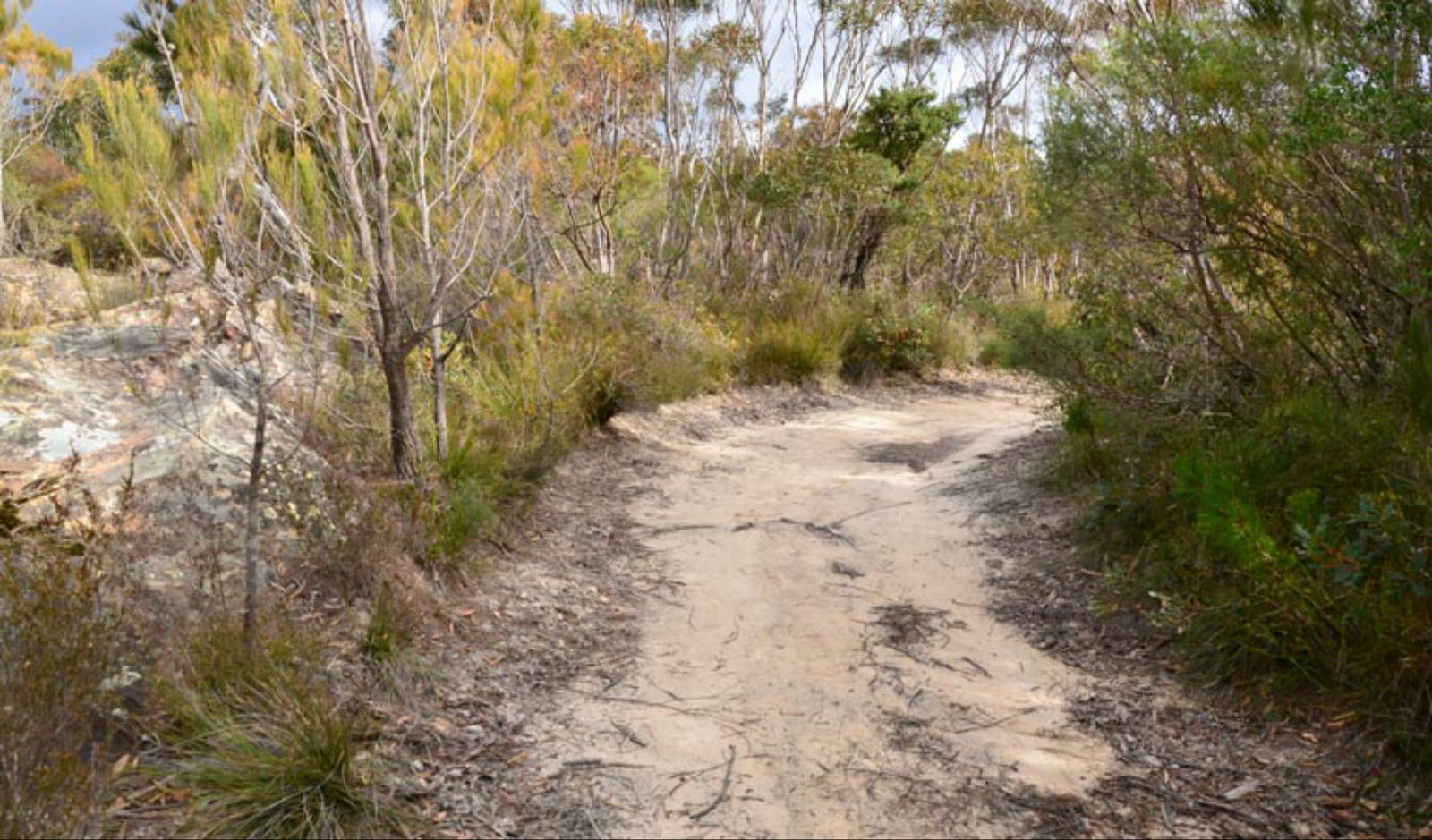 Browns Mountain NSW Great Ocean Road Tourism