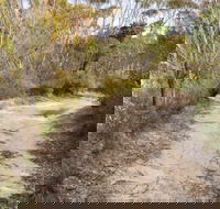 Red Rocks trig walking track - Great Ocean Road Tourism