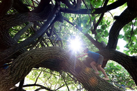 Scarborough Beach Park - Great Ocean Road Tourism 0
