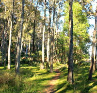 Square Head Track 1 - Great Ocean Road Tourism