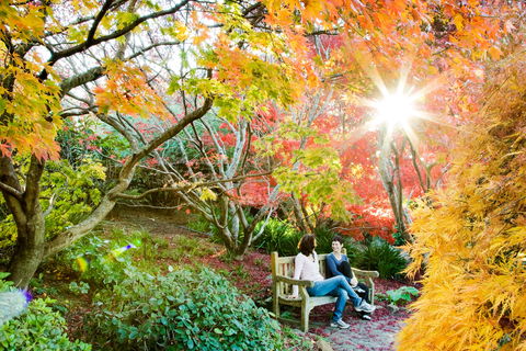 The Blue Mountains Botanic Garden, Mount Tomah - Great Ocean Road Tourism 0