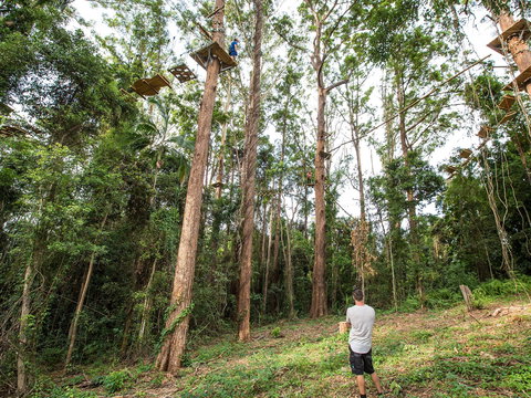 TreeTop Challenge - Sunshine Coast - Great Ocean Road Tourism 1