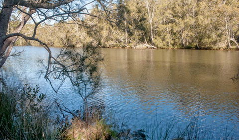 Wandandian Creek Picnic Area - Great Ocean Road Tourism 0