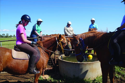 Western Plains Riding Centre - Open - Great Ocean Road Tourism 0