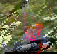 Zipline at Illawarra Fly - Great Ocean Road Tourism